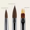 Staleks Brushes