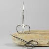 Staleks Scissors