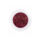 Duo Chrome Pigment P05 1 g.