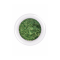 Duo Chrome Pigment P09 1 g.