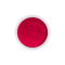 Neon pigment εφέ №10 2 g.