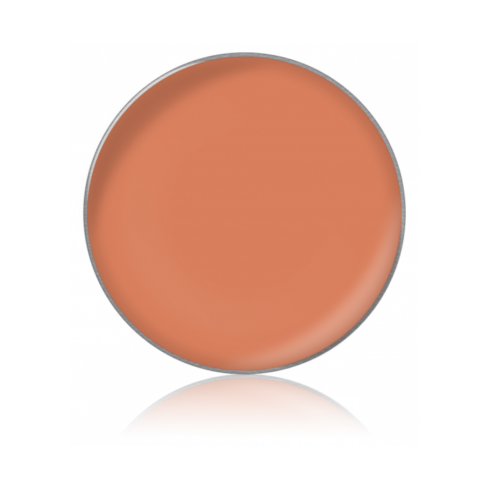 Κραγιόν σε Refill RL NEW №48