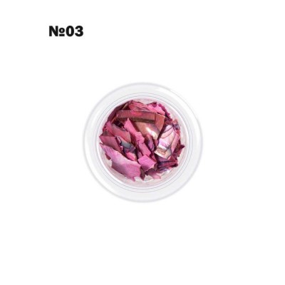 Nail decoration shells №3